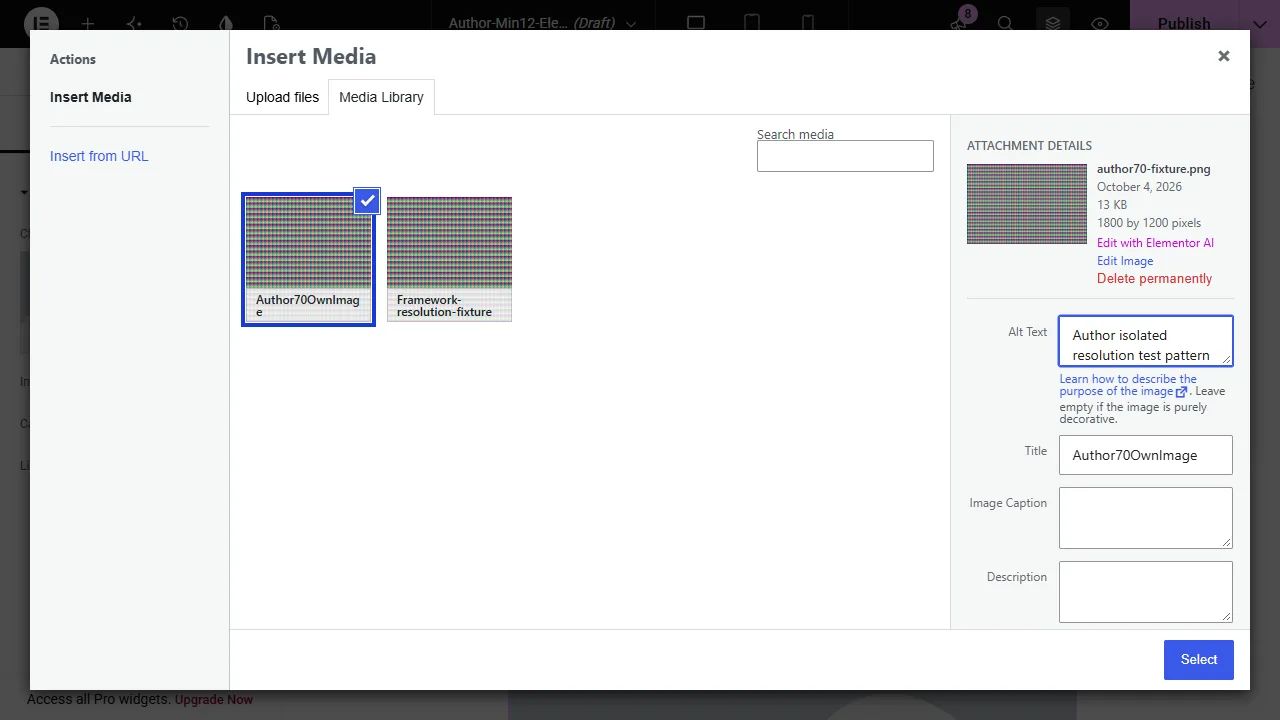 Elementor媒體選擇視窗中,測試圖片的Alt Text填入Author isolated resolution test pattern